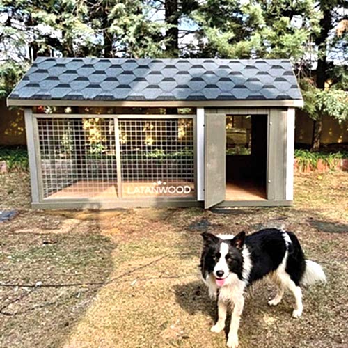 Boxy Ahşap Köpek Kulübesi
