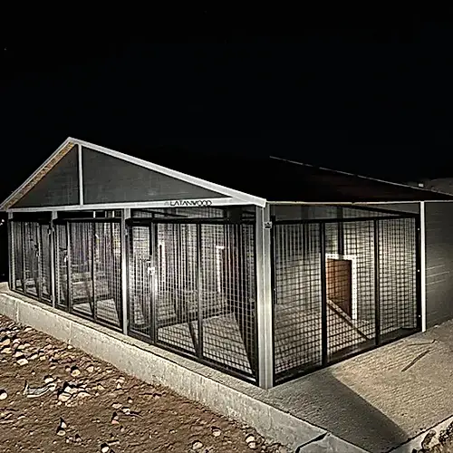 Nick Ahşap Köpek Kulübesi